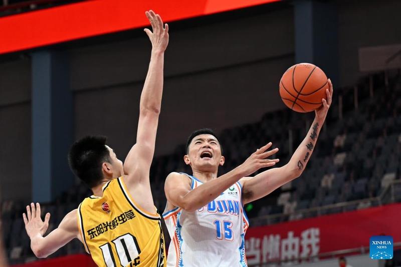 证明了桑巴
