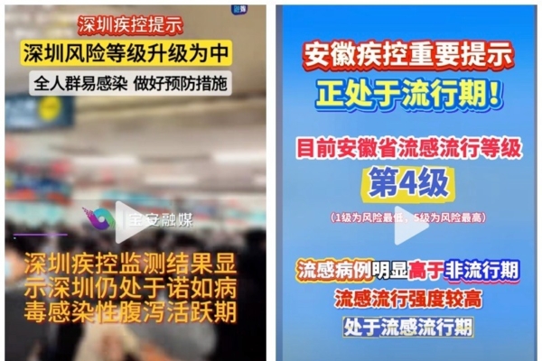 頂尖內線分